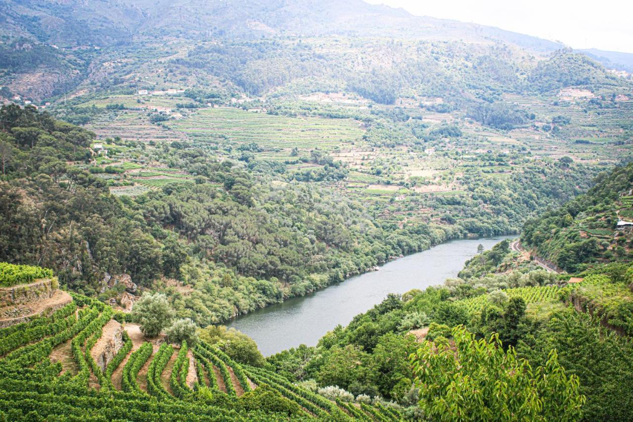 Casa Avos D'Ouro - Barqueiros, Mesao Frio, Douro Villa Exterior photo